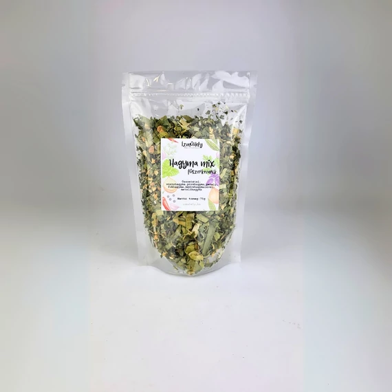 Ízműhely- Hagymamix 75g